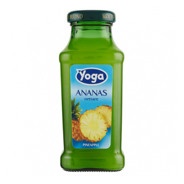 ANANAS NETTARE YOGA 200 BT24