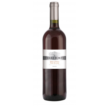 NERO D'AVOLA TERRE FORTI CL75 BT6