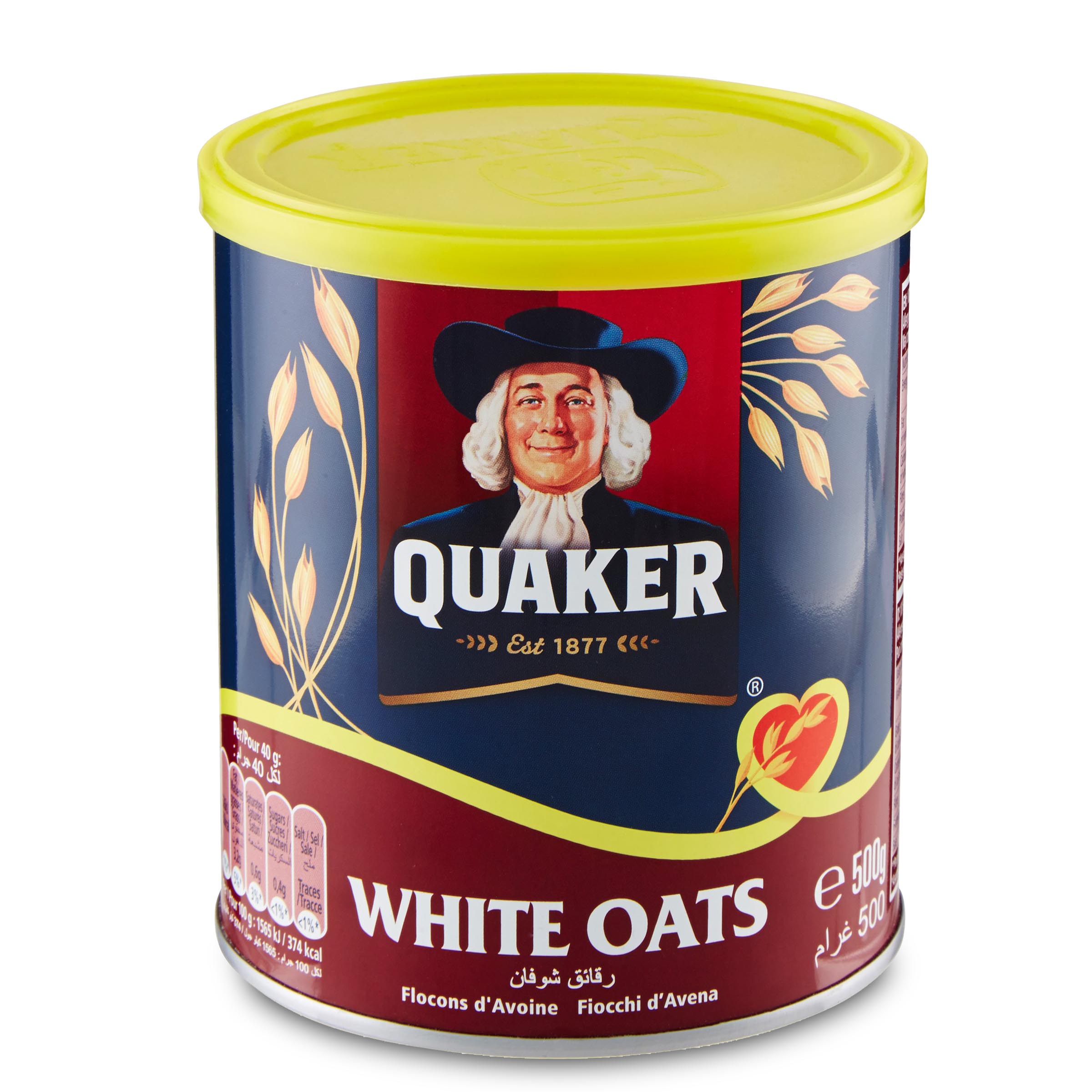 QUICK QUAKER OATS FIOCCHI D'AVENA GR500*6 CT1