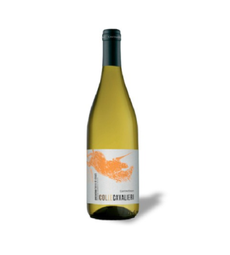 TREBBIANO DOP COLLE CAVALIERI CL37,5  BT12